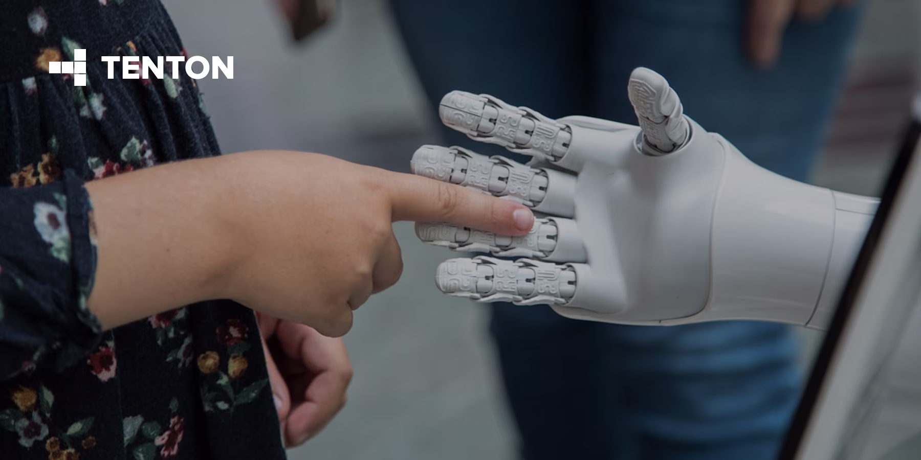 AI Raters & LLM Training Models: The Human Touch in AI Optimization