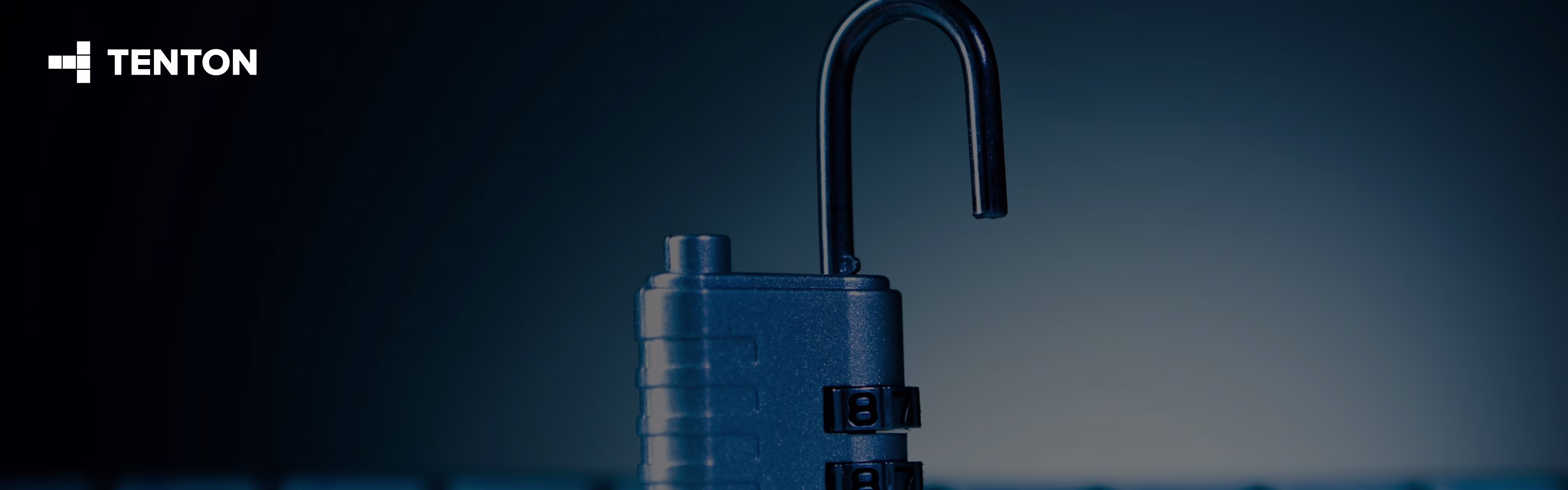 AI Generated Code Security Risks Every Business Should Know