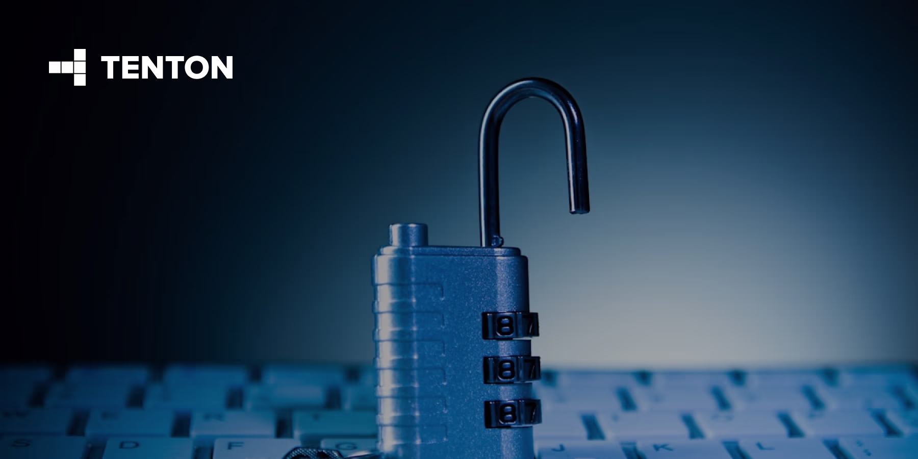 AI Generated Code Security Risks Every Business Should Know