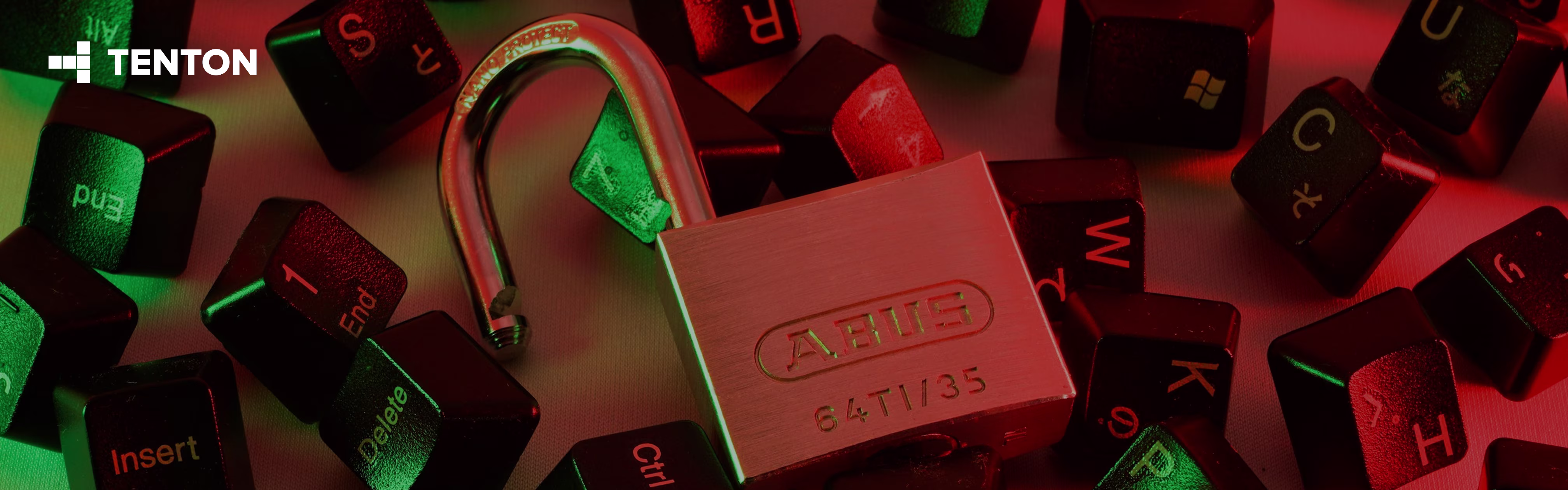Web Application Security Testing: What QA Teams Should Check