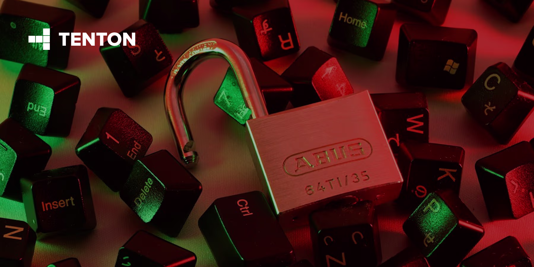 Web Application Security Testing: What QA Teams Should Check