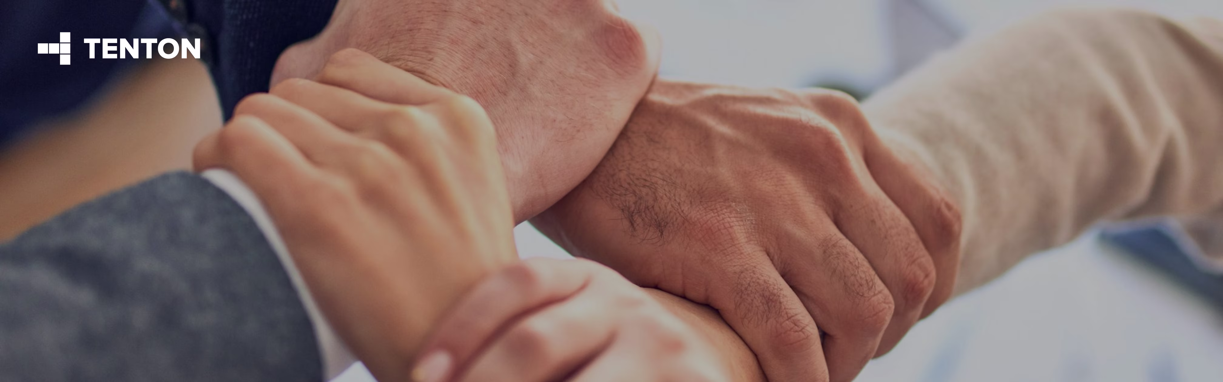 Staff Augmentation vs. Dedicated Team: Key Differences